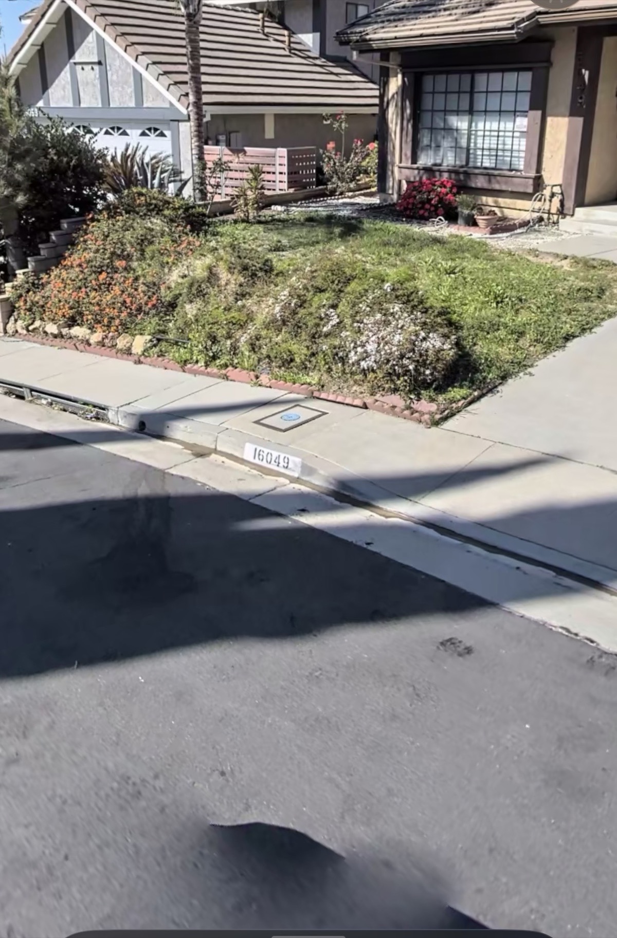 Front Yard Landscaping — before