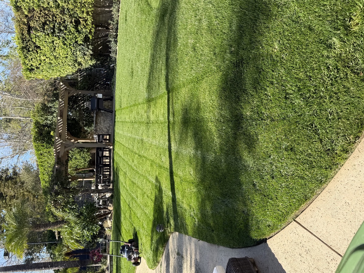 Large green lawn freshly mowed with clean edges