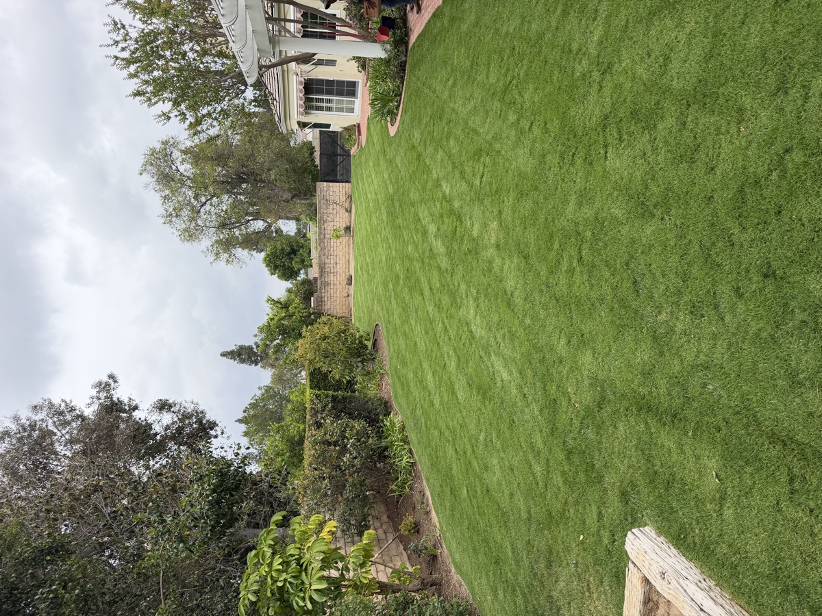 Lush green backyard lawn with mature landscaping