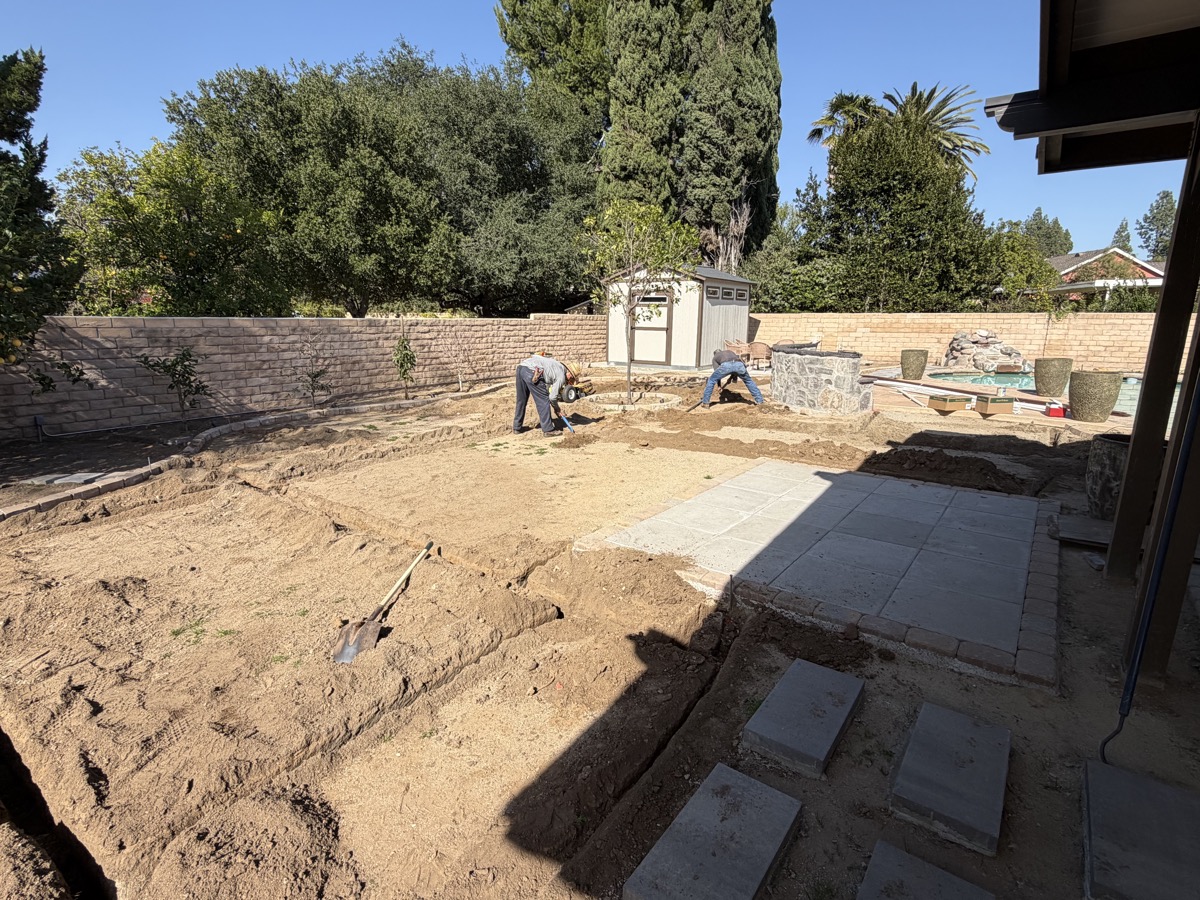 Backyard Landscape Transformation — before